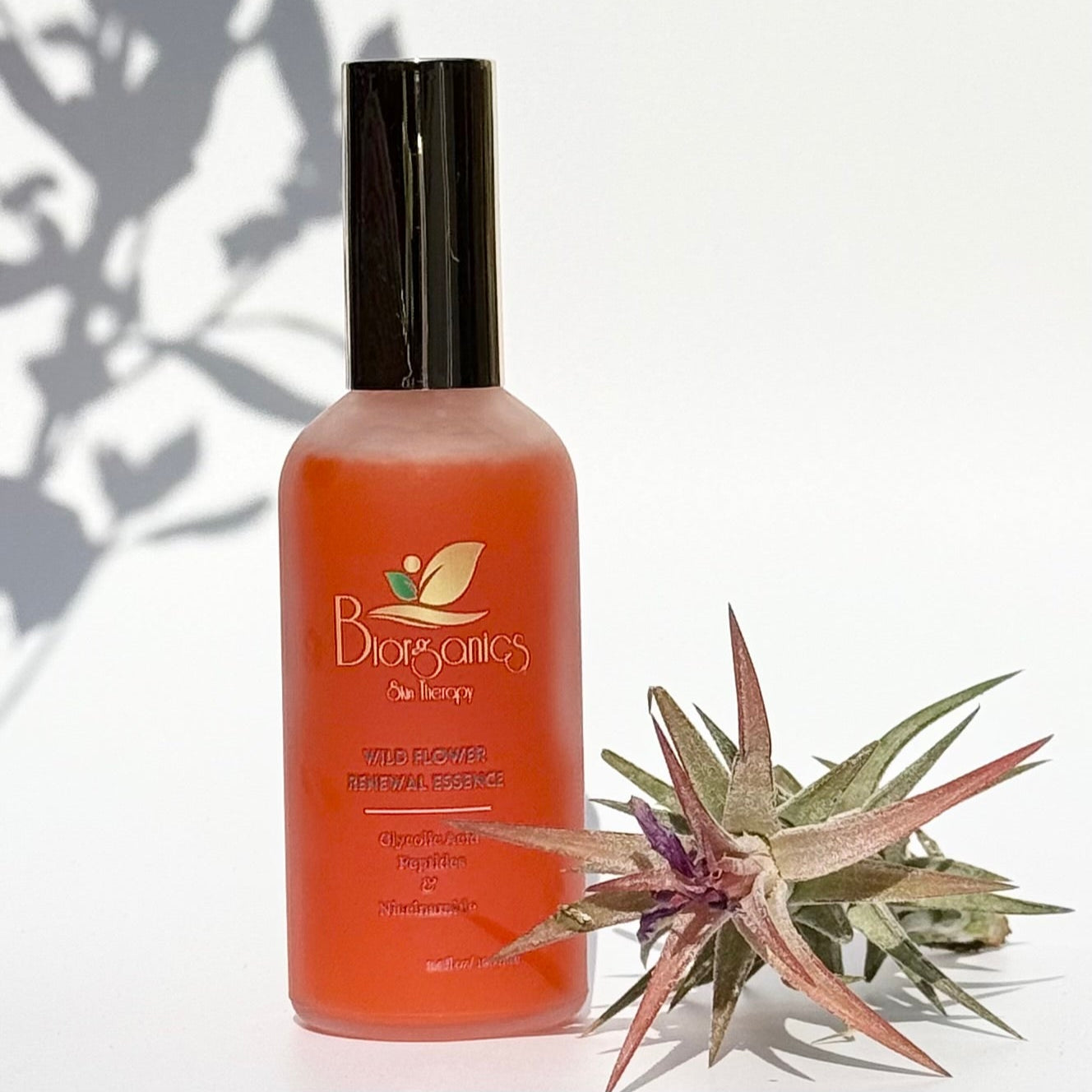 Wild Flower Renewal Essence – Biorganics Skin Therapy