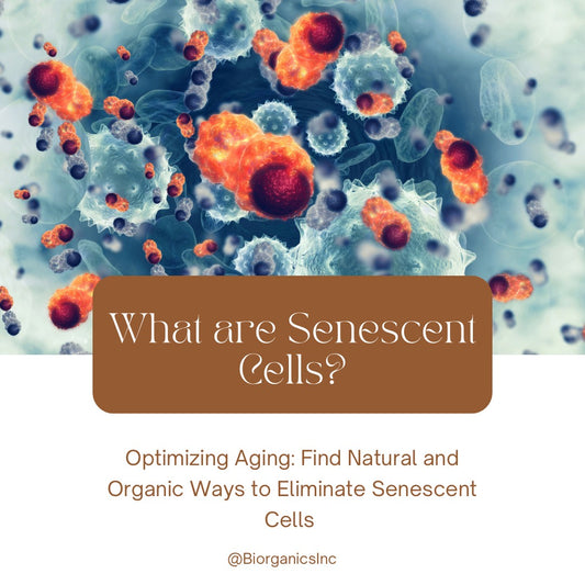 Optimazing Aging: Natural and Organic ways to Eliminate Senecent Cells